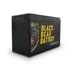 Black Bear Battery LiFePO4 10AH Battery with 1A Charger