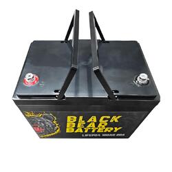 Black Bear Battery LiFePO4 100AH Battery with 20A Charger