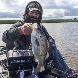 BerleyPro Garmin Striker Plus 5 Visor BerleyPro Garmin Striker Plus 5 Visor