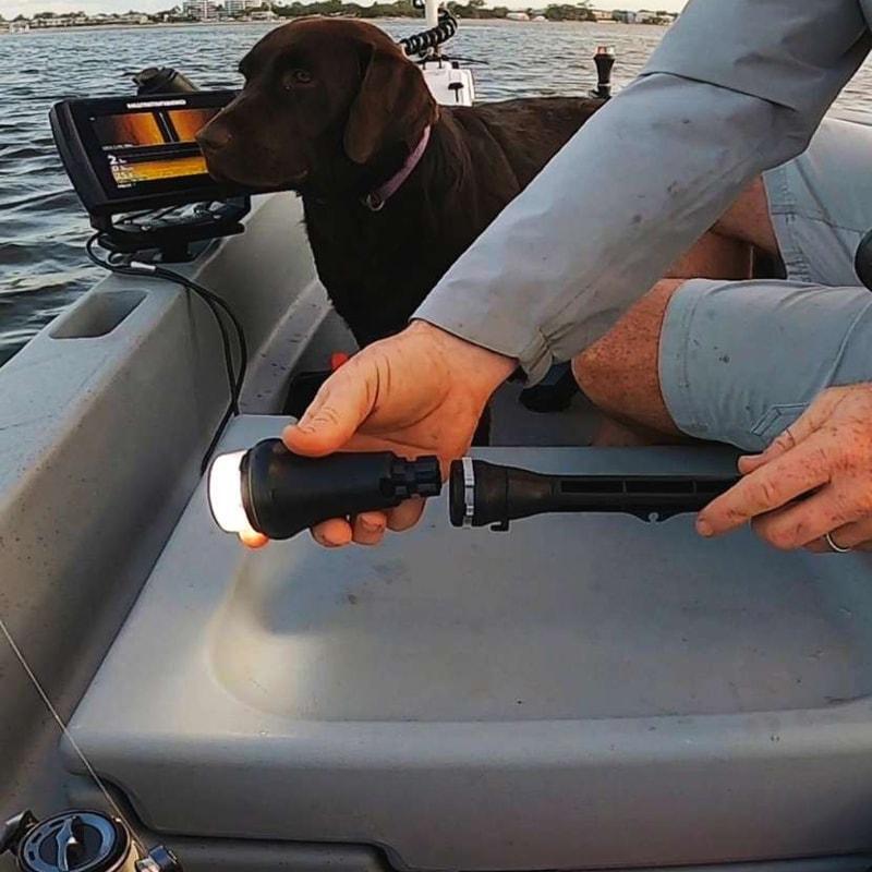 Railblaza Illuminate i360 Navigation Light Railblaza Illuminate i360 Navigation Light