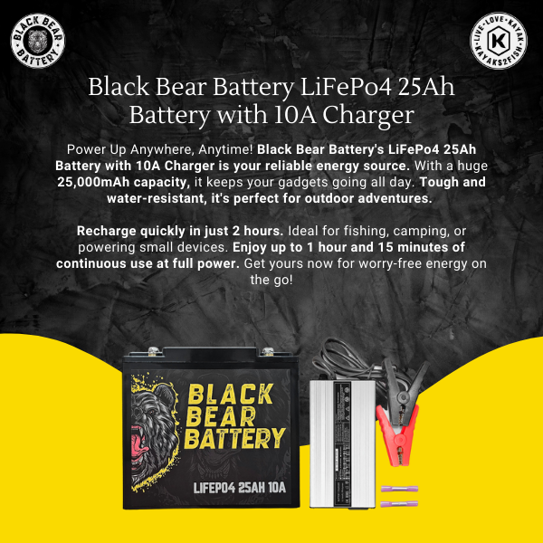 Black Bear Battery LiFePo4 25Ah Battery with 10A Charger