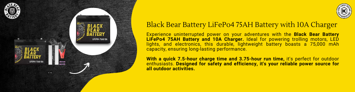 Black Bear Battery LiFePo4 75AH Battery with 10A Charger