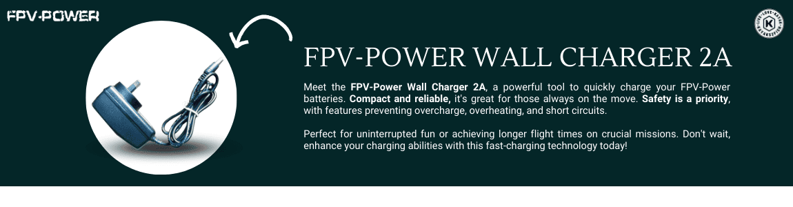 FPV-Power Wall Charger 2A