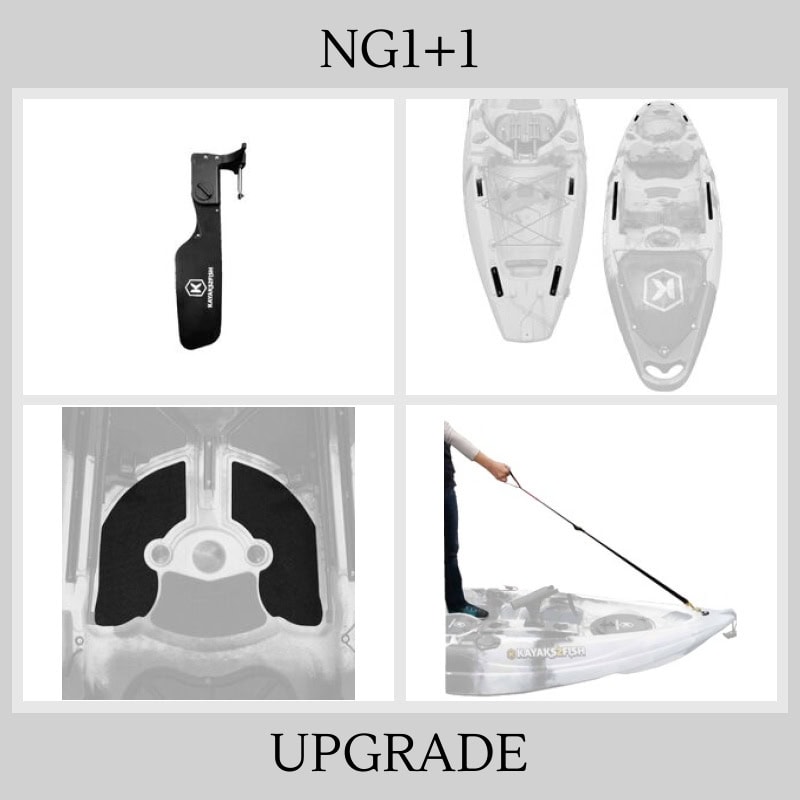 NG1+1 Upgrade