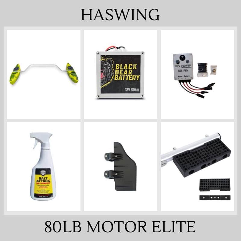 Haswing 80lb Motor Elite